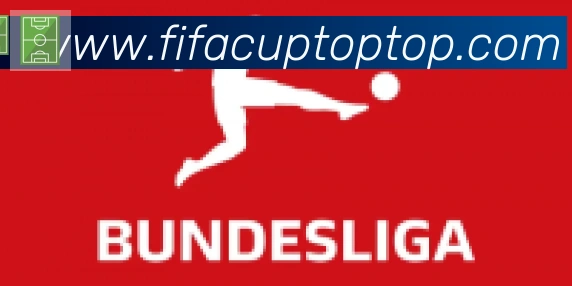 FIFA世界杯比分官方网站合作伙伴